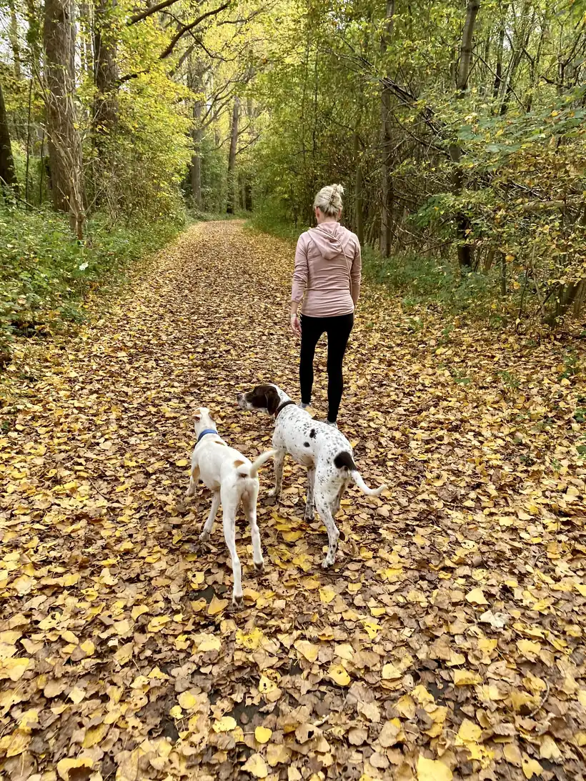 Ulrike von den Driesch mit ihren beiden Hunden im Herbstwald